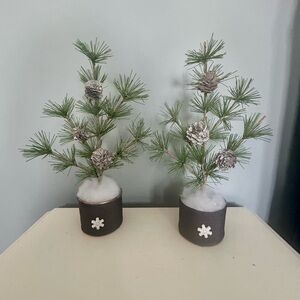 Festive Green and Silver Pine Tree Decor